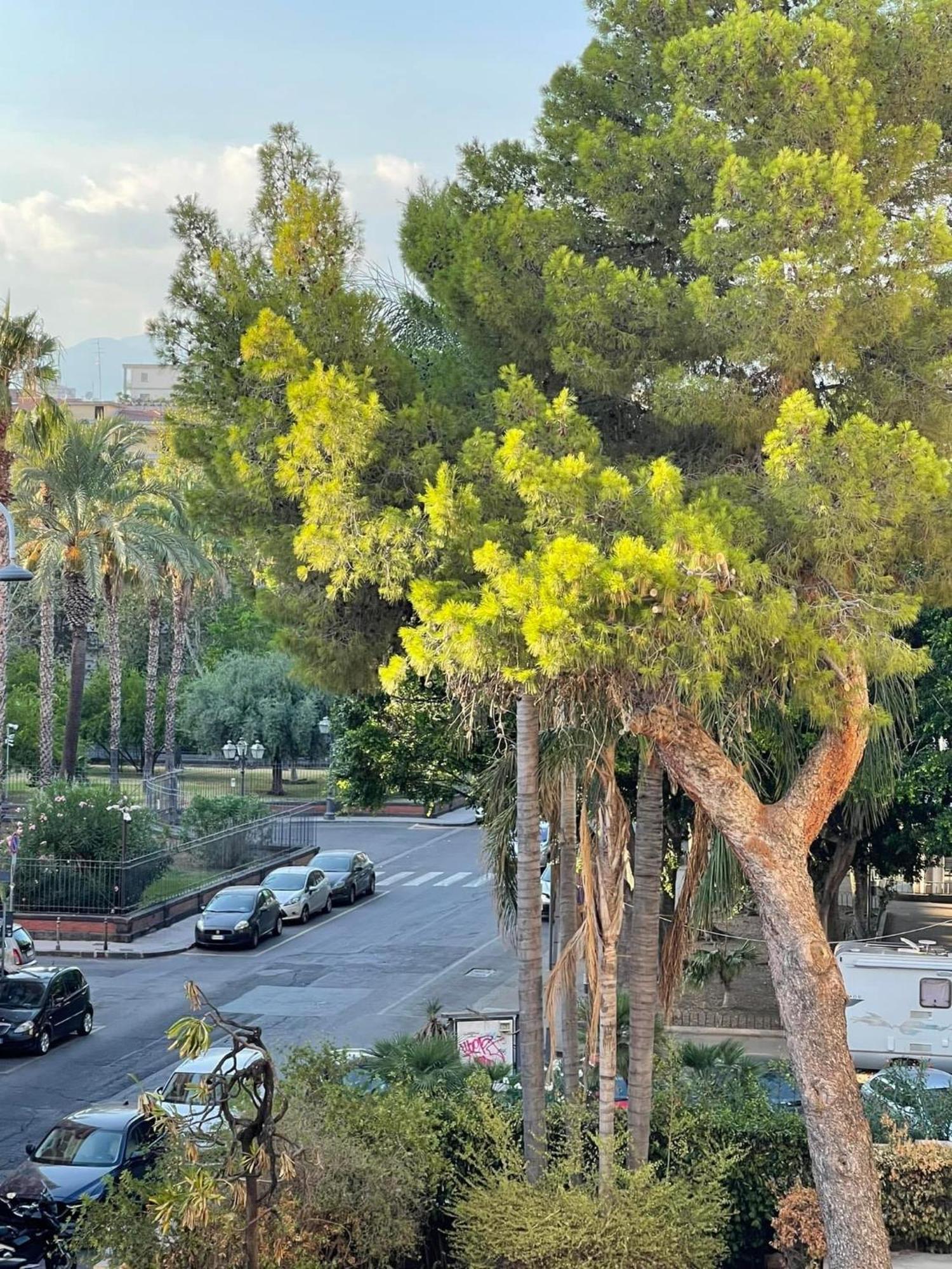 Maison Ruggero كاتانيا المظهر الخارجي الصورة
